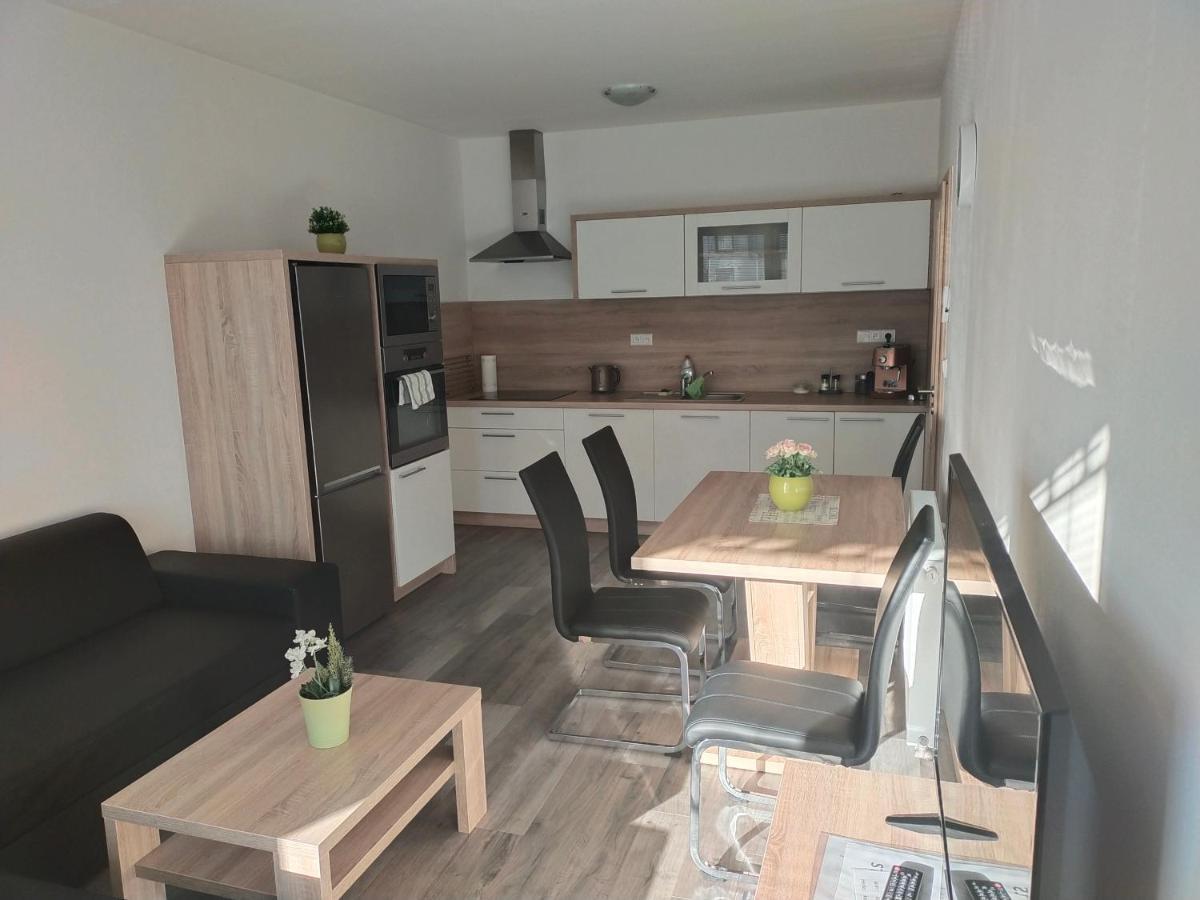 Apartman Karolina Poděbrady المظهر الخارجي الصورة
